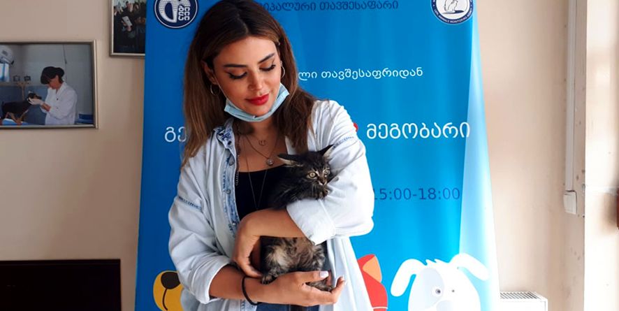 თავშესაფრიდან გაჩუქდა კნუტი