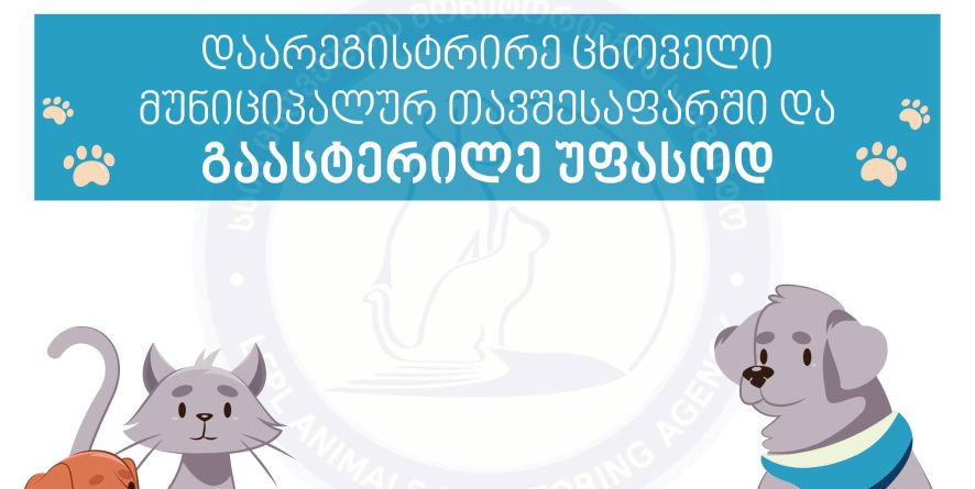 დაირეგისტრირეთ ცხოველი მუნიციპალურ თავშესაფარში და გაასტერილეთ უფასოდ.