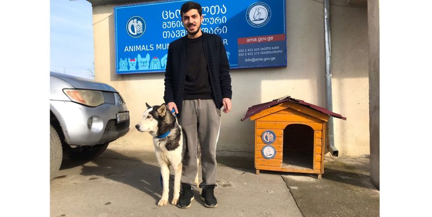 თავშესაფრიდან პატრონს დაუბრუნდა ჰასკი ან ჰასკის მეტისი