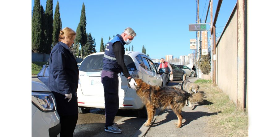 ცოფის დაფიქსირების ზონაში  სავალდებულო მასობრივი ვაქცინაცია განხორციელდა