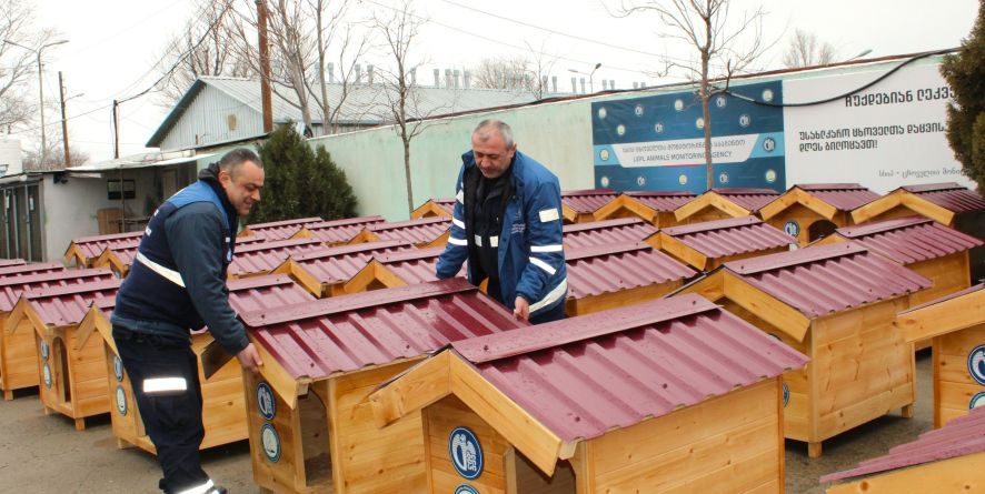 მონიტორინგის სააგენტომ მიუსაფარი ძაღლებისათვის განკუთვნილი ხის სახლები განათავსა.