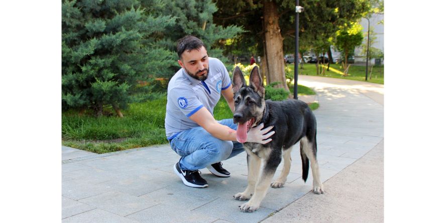 კომპანიონი ცხოველების იდენტიფიკაცია-რეგისტრაცია გრძელდება