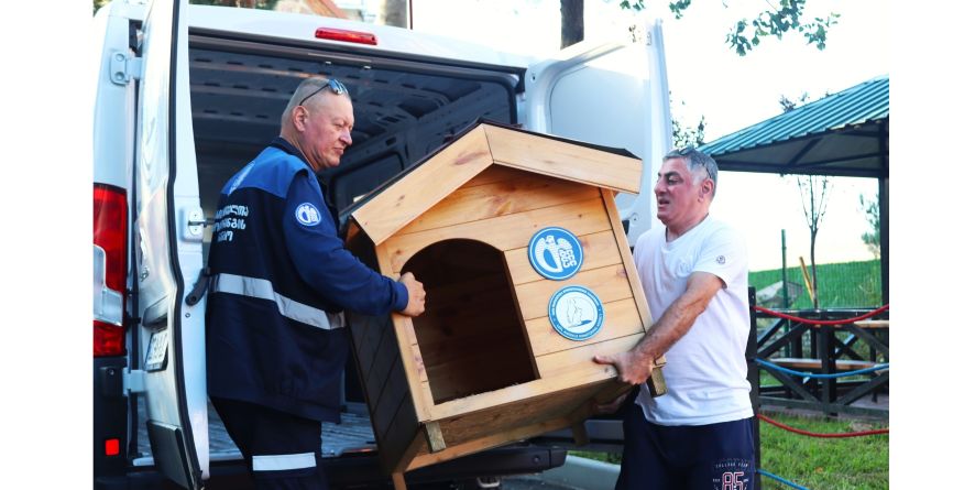 სააგენტომ მიუსაფარი ცხოველებისთვის ხის სახლი დადგა