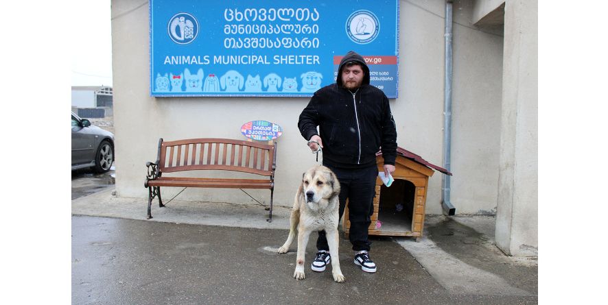 თავშესაფრიდან პატრონს დაუბრუნდა  ნაგაზის მეტისი