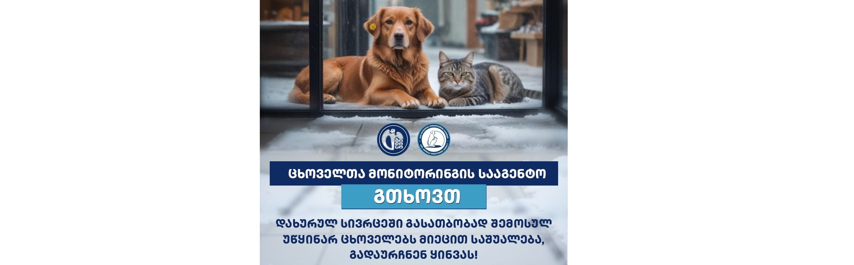 ცხოველთა მონიტორინგის სააგენტო მოგმართავთ თხოვნით