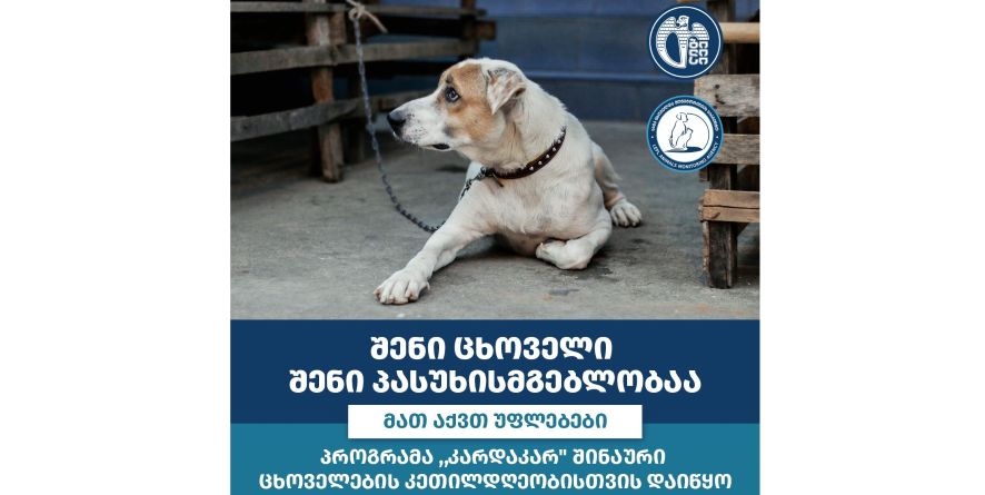 შენი ცხოველი შენი პასუხისმგებლობაა