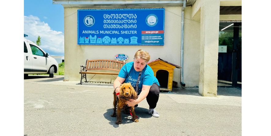 თავშესაფრიდან პატრონს დაუბრუნდა კოკერ სპანიელი ან კოკერ სპანიელის მეტისი