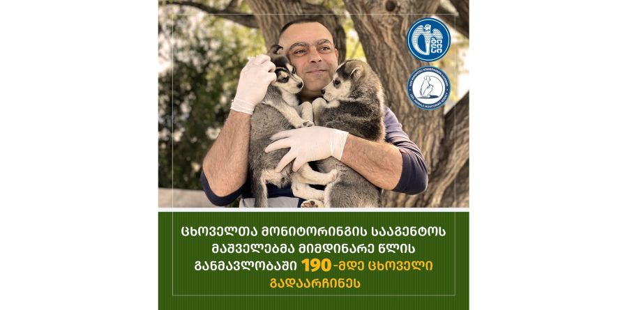 გადარჩენილი ცხოველების რიცხვი