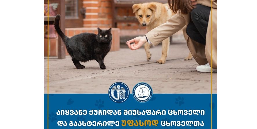 შერეული ჯიშის (მეტისი) ძაღლების მეპატრონეების საყურადღებოდ!