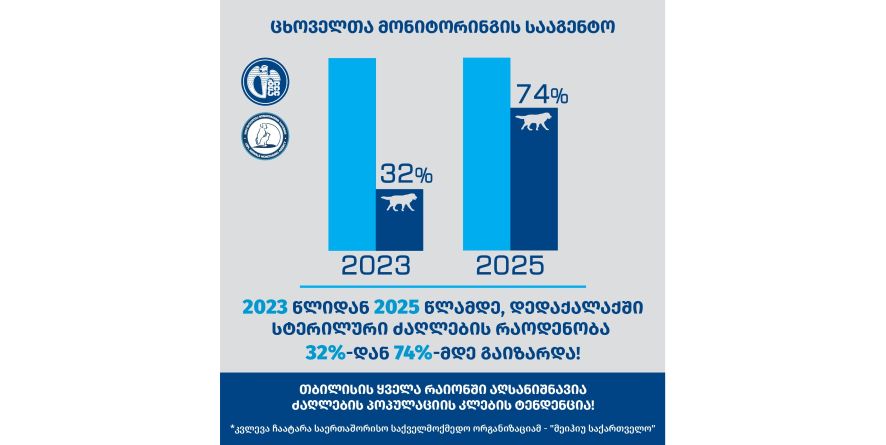 მიუსაფარი ცხოველების რაოდენობრივი კვლევა ჩატარდა