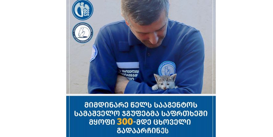 მიმდინარე წელს გადარჩენილი ცხოველების რიცხვი