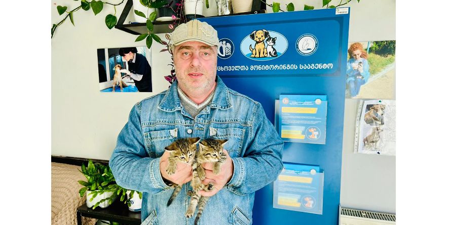 თავშესაფრიდან გაჩუქდნენ კნუტები