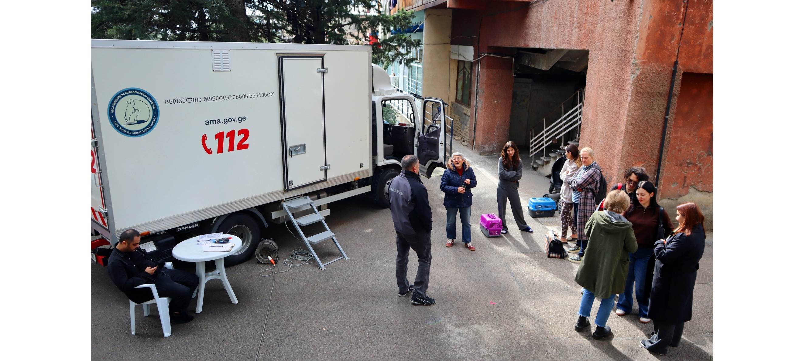 მობილურ ვეტკლინიკაში ფისოები გასტერილდნენ