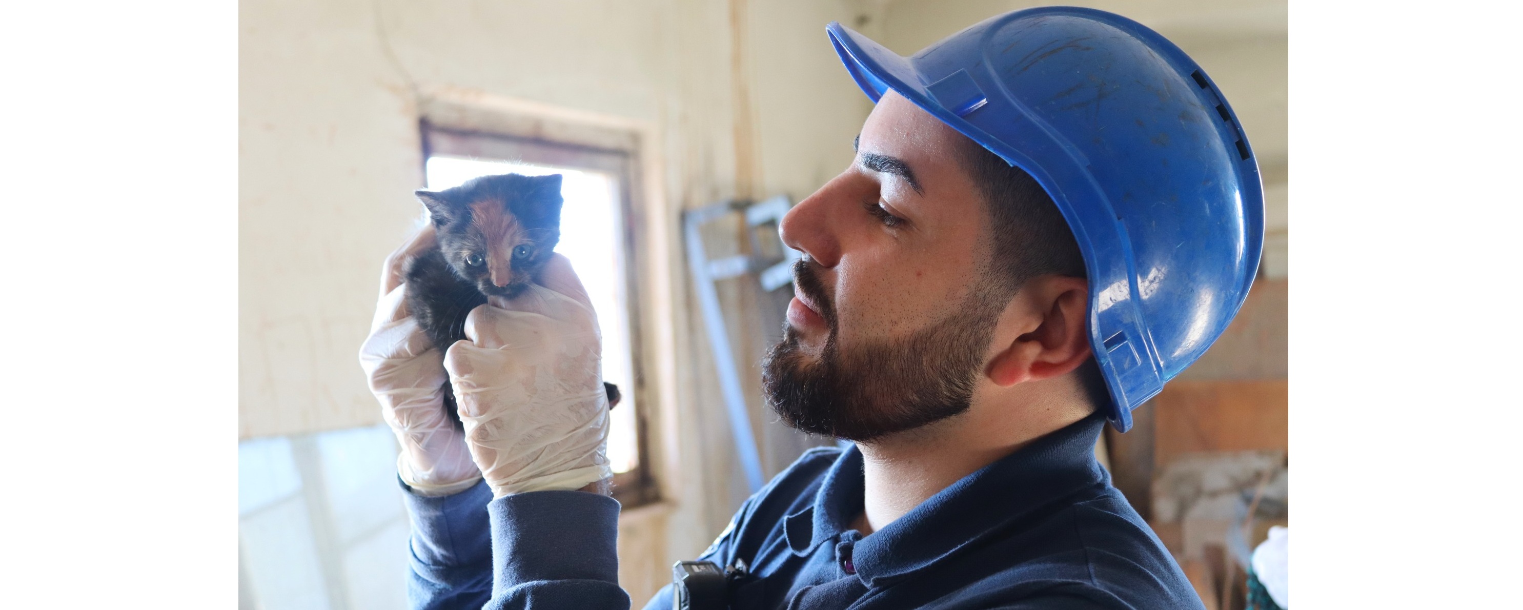 ოპერატიული რეაგირების ჯგუფმა კიდევ ერთი კნუტი გადაარჩინა