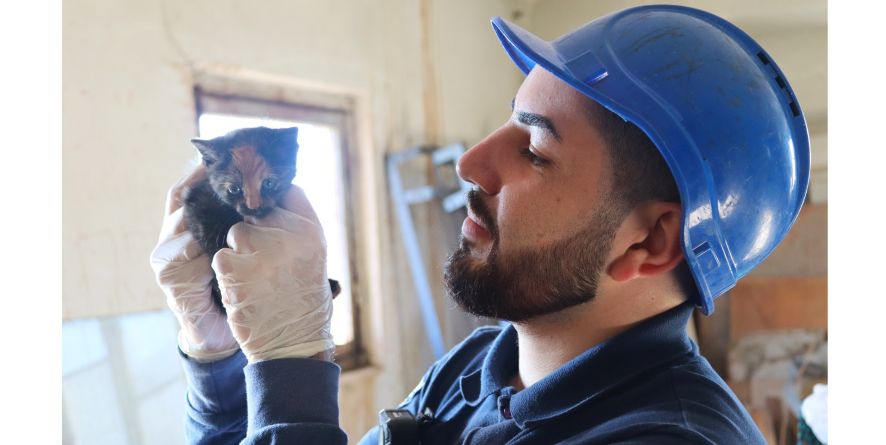 ოპერატიული რეაგირების ჯგუფმა კიდევ ერთი კნუტი გადაარჩინა