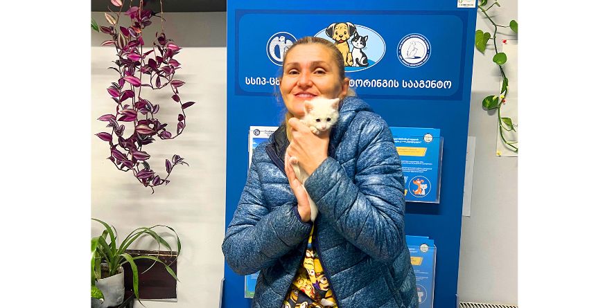 თავშესაფრიდან გაჩუქდა კნუტი