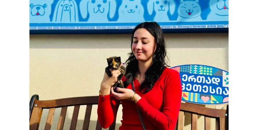 თავშესაფრიდან გაჩუქდა კნუტი