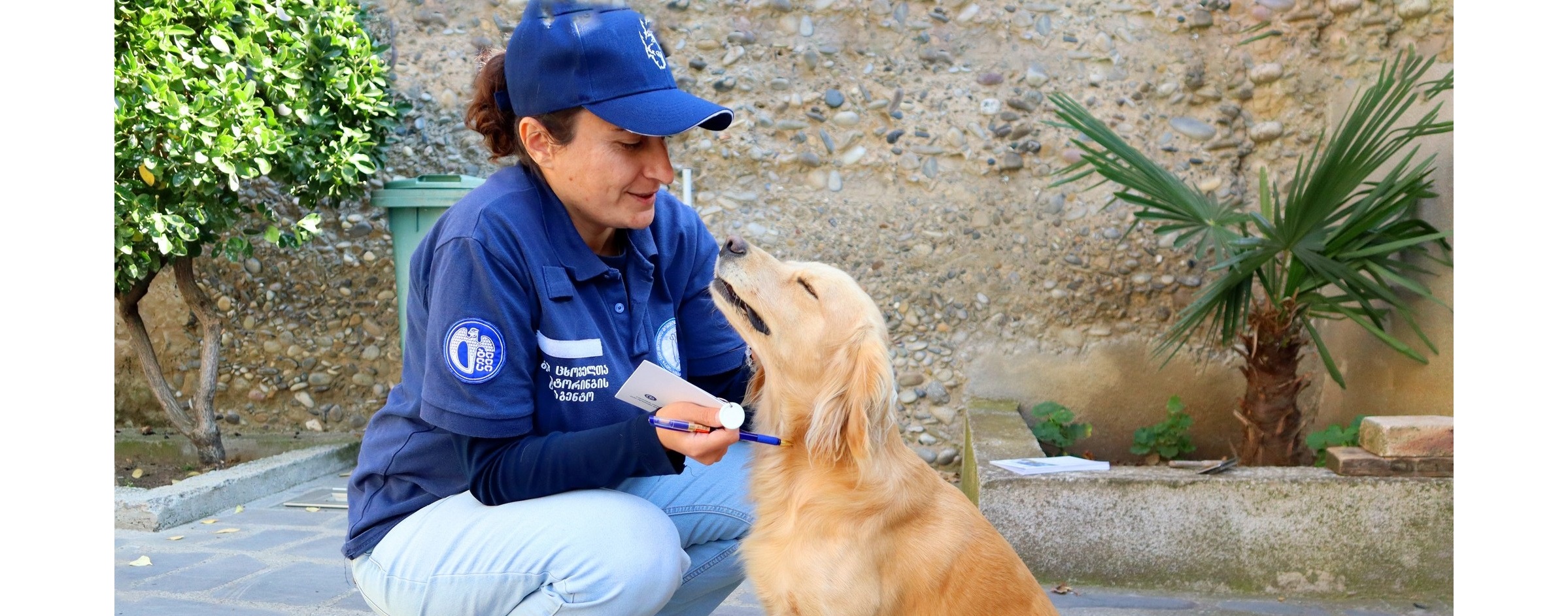 პროექტი „კარდაკარ“ გრძელდება