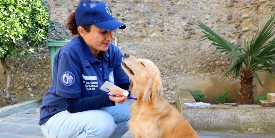 პროექტი „კარდაკარ“ გრძელდება