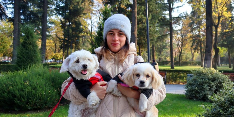 იდენტიფიკაცია-რეგისტრაცია / კომპლექსური და ანტირაბიული ვაქცინაცია