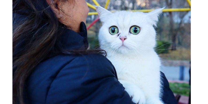 სააგენტომ შინაური ცხოველების მეპატრონეებს სხვადასხვა მომსახურება შესთავაზა