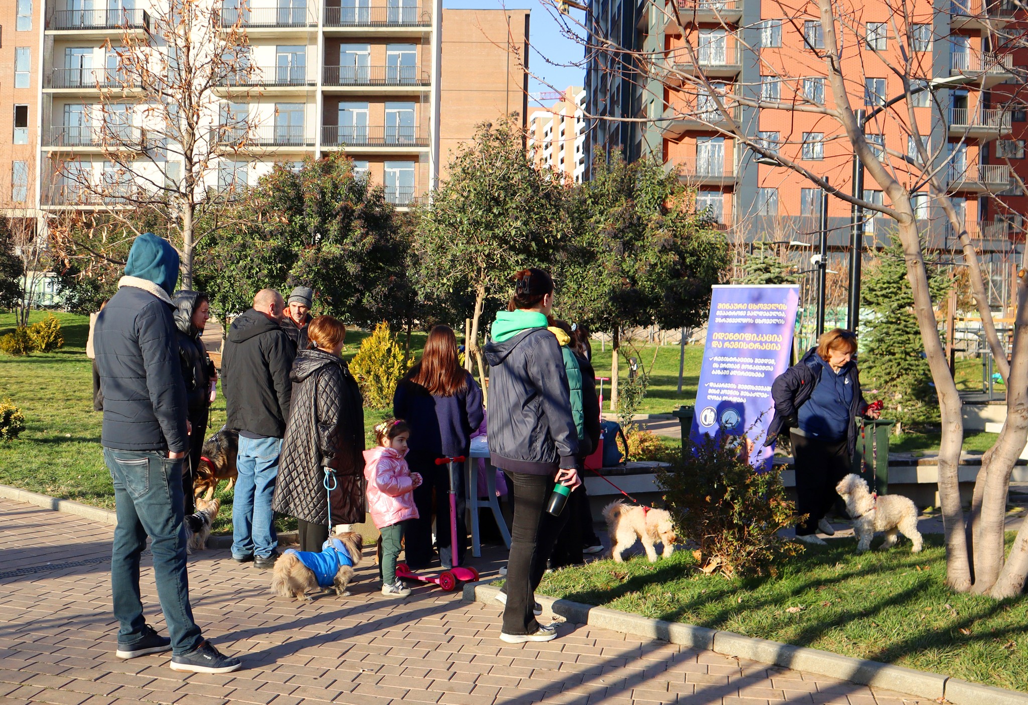 სააგენტომ შინაური ცხოველების მეპატრონეებს სხვადასხვა მომსახურება შესთავაზა