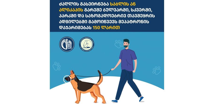 ძაღლის გასეირნების წესები