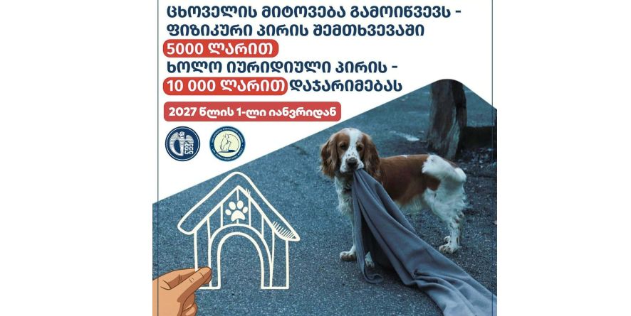 შინაური ბინადარი ცხოველის მიტოვება