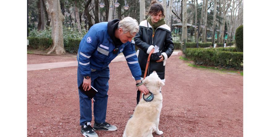 ეკიპაჟები ძაღლების გასეირნების წესების დაცვას დედაქალაქის მასშტაბით ინტენსიურ რეჟიმში ახორციელებენ