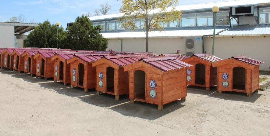 სააგენტომ სხვადასხვა მისამართზე ხის სახლები განათავსა