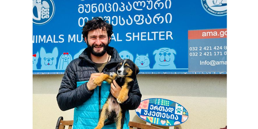 თავშესაფრიდან გაჩუქდა მეტისი