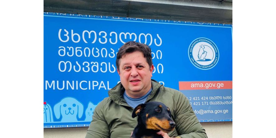 თავშესაფრიდან გაჩუქდა იაგდ ტერიერი ან იაგდ ტერიერის მეტისი