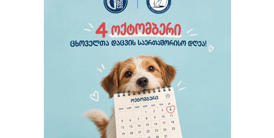 ცხოველთა დაცვის საერთაშორისო დღე!