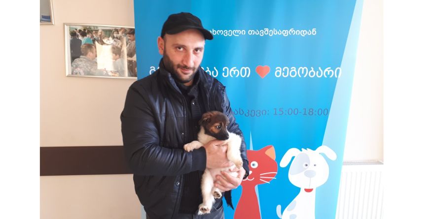თავშესაფრიდან გაჩუქდა მეტისი ლეკვი