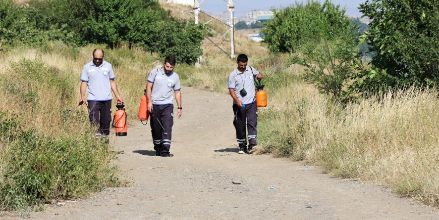 სააგენტომ ისნის რაიონში ტერიტორიების რეპელენტით დამუშავება დაიწყო