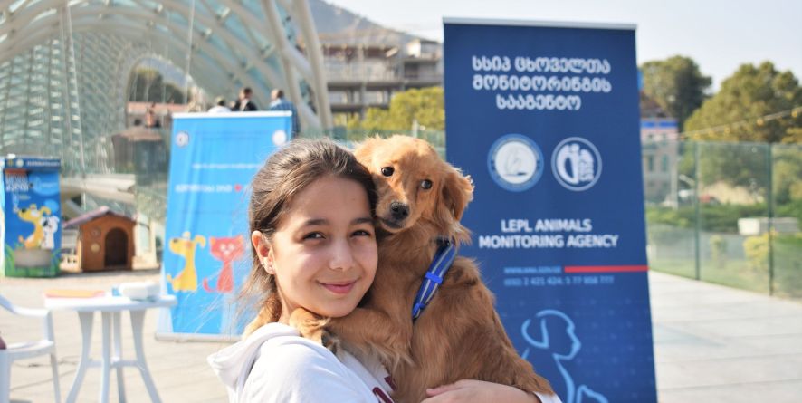 ძაღლებისა და ლეკვების გაჩუქების აქცია მოეწყო